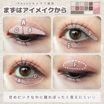 エクスプローラ12色 動物アイシャドウパレット/PERFECT DIARY/アイシャドウパレットを使ったクチコミ(6枚目)