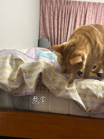 ã䜿ã£ãã¯ãã³ãïŒ1æç®ïŒ