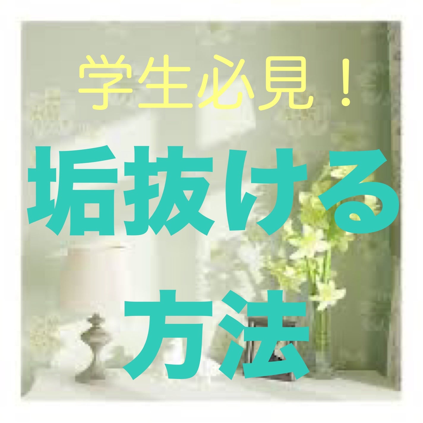 ハトムギ化粧水(ナチュリエ スキンコンディショナー R )/ナチュリエ/化粧水を使ったクチコミ(1枚目)