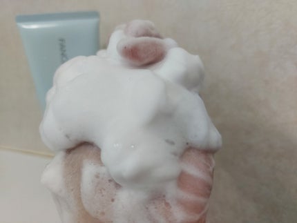 スキンコンディショニング洗顔/ファンケル/洗顔フォームを使ったクチコミ(4枚目)