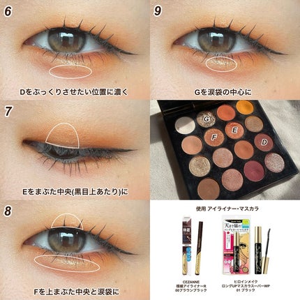 大英博物館 エジプトシリーズ アイシャドウパレット/ZEESEA/アイシャドウパレットを使ったクチコミ(3枚目)