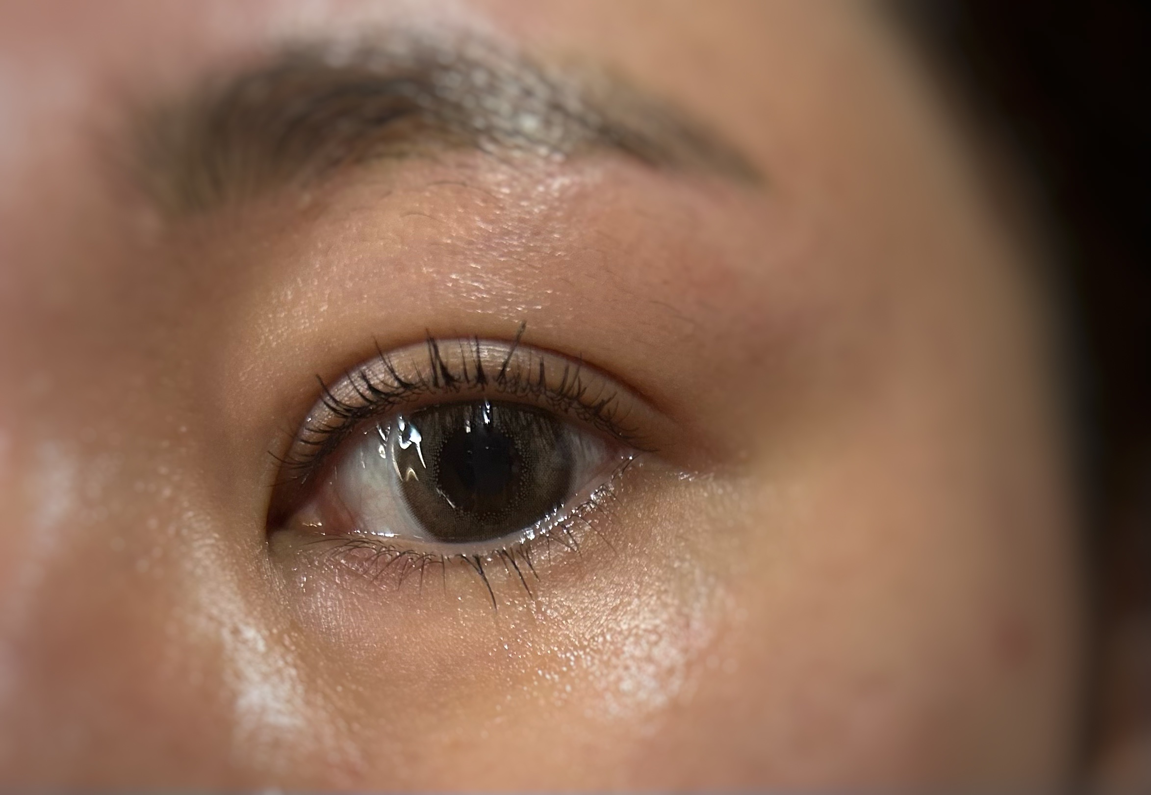 FLANMY 1day キャラメルパイ/FLANMY/ワンデー（１DAY）カラコンを使ったクチコミ（1枚目）