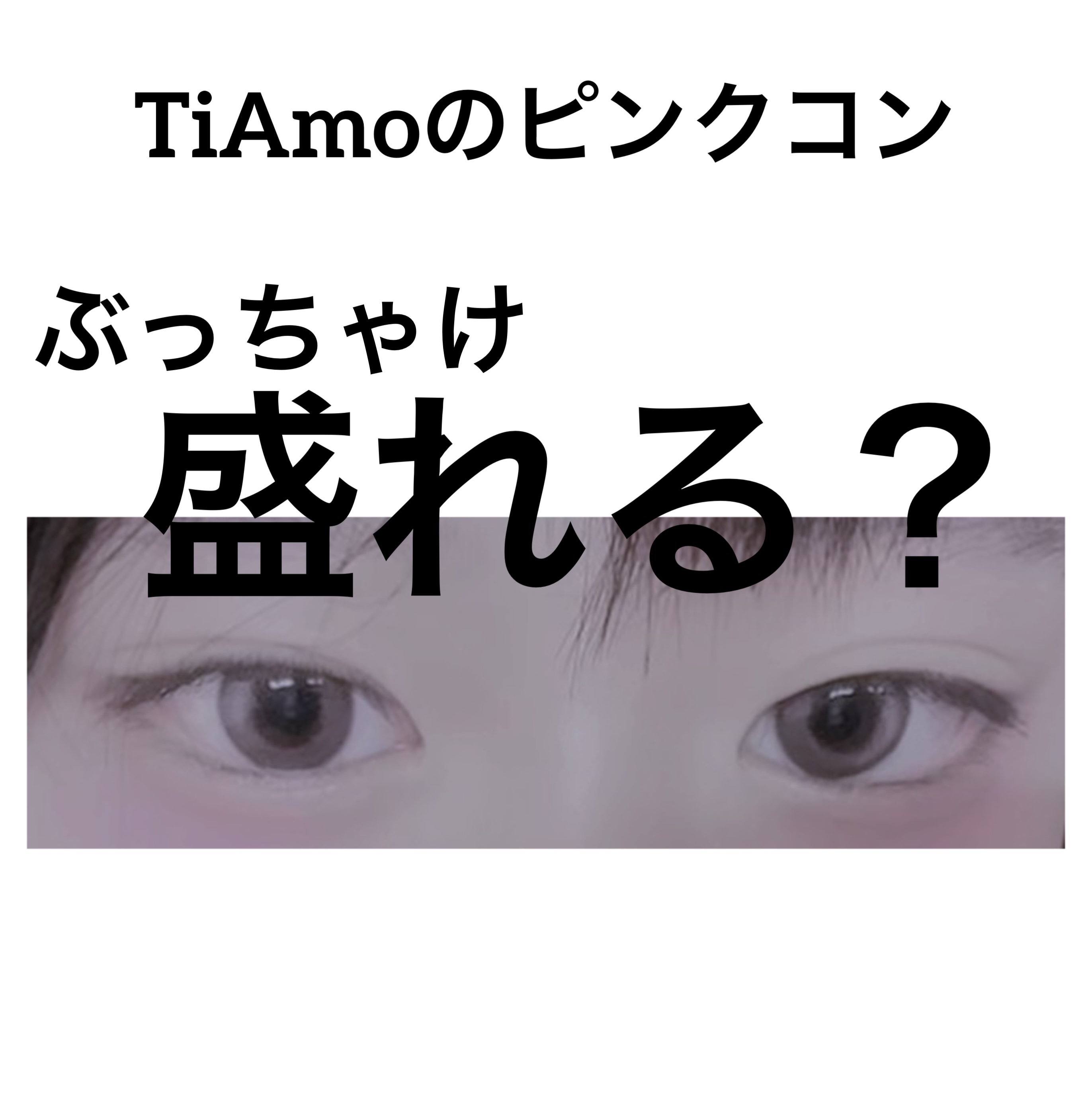 TeAmo 1DAY ベリーブラウン