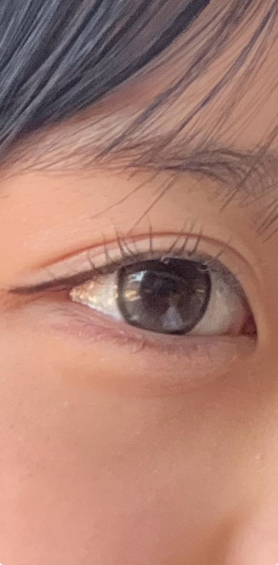 Honey kiss 1day/HoneyKiss/ワンデー(1DAY)カラコンを使ったクチコミ(3枚目)