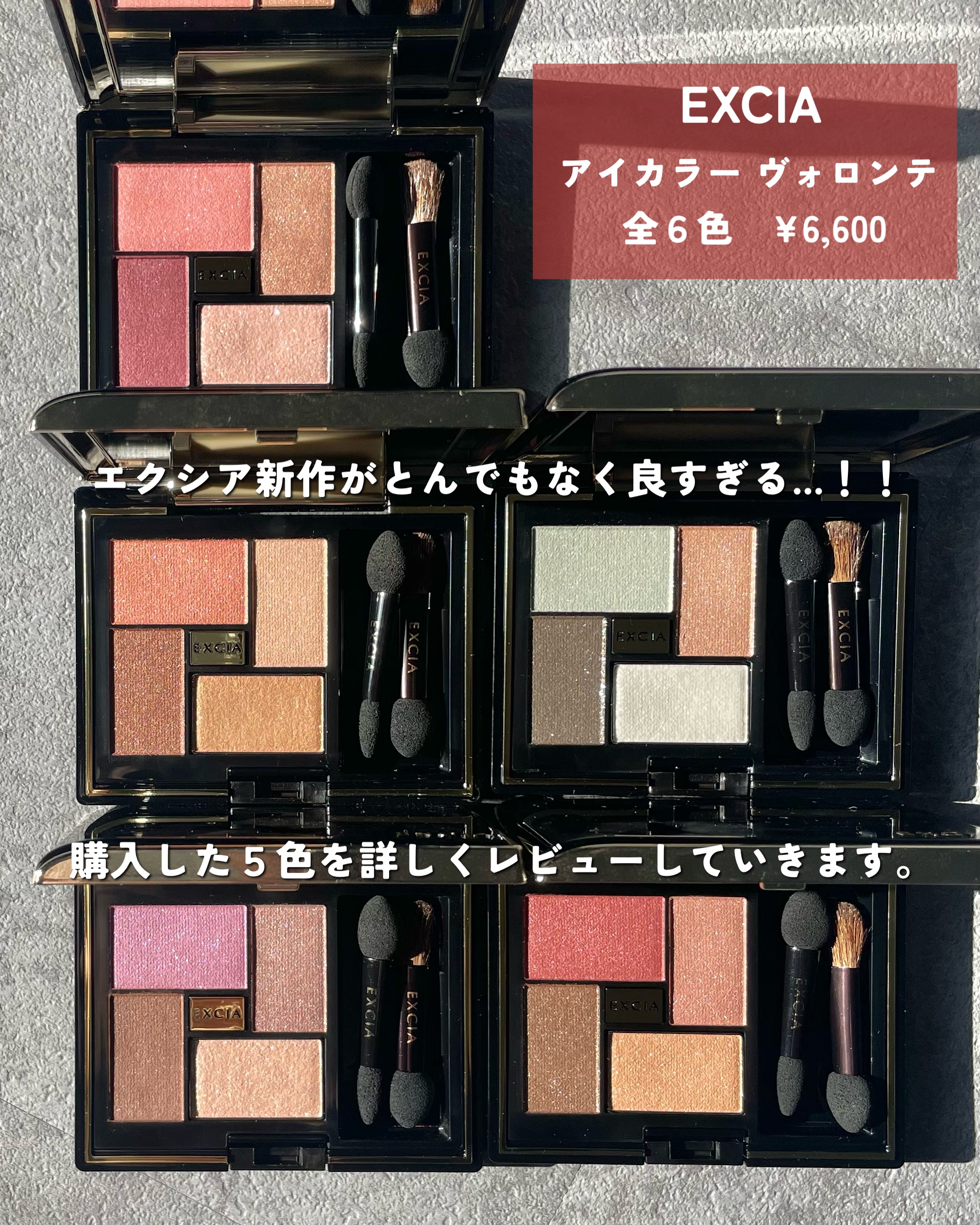 エクシア アイカラー ヴォロンテ/ALBION/アイシャドウパレットを使ったクチコミ（2枚目）