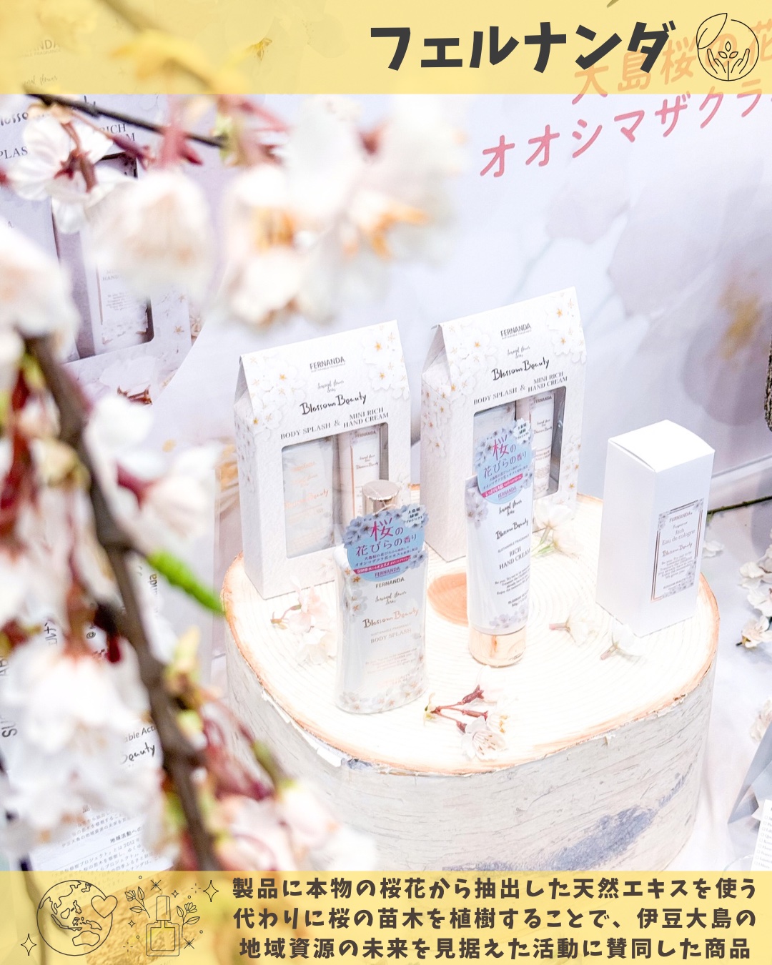 フェルナンダ
ブロッサムビューティー

製品に本物の桜花から抽出した
天然エキスを使う代わりに
桜の苗木を植することで、

伊豆大島の地域資源の未来を
見据えた活動に賛同した商品 .‎ ˖٭