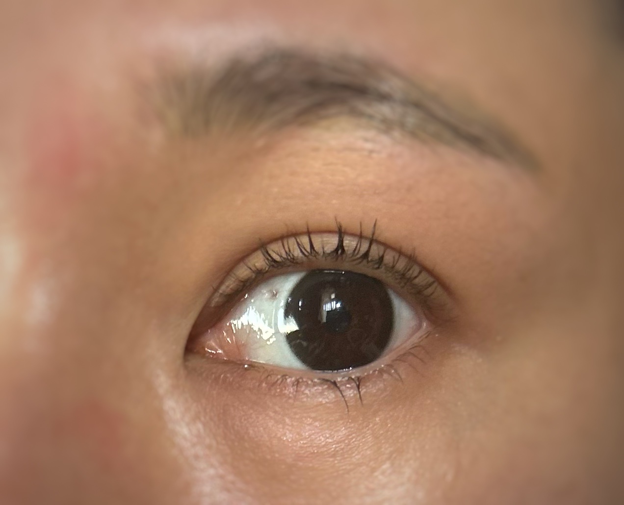 Quprie 1day/Quprié by R/ワンデー（１DAY）カラコンを使ったクチコミ（2枚目）