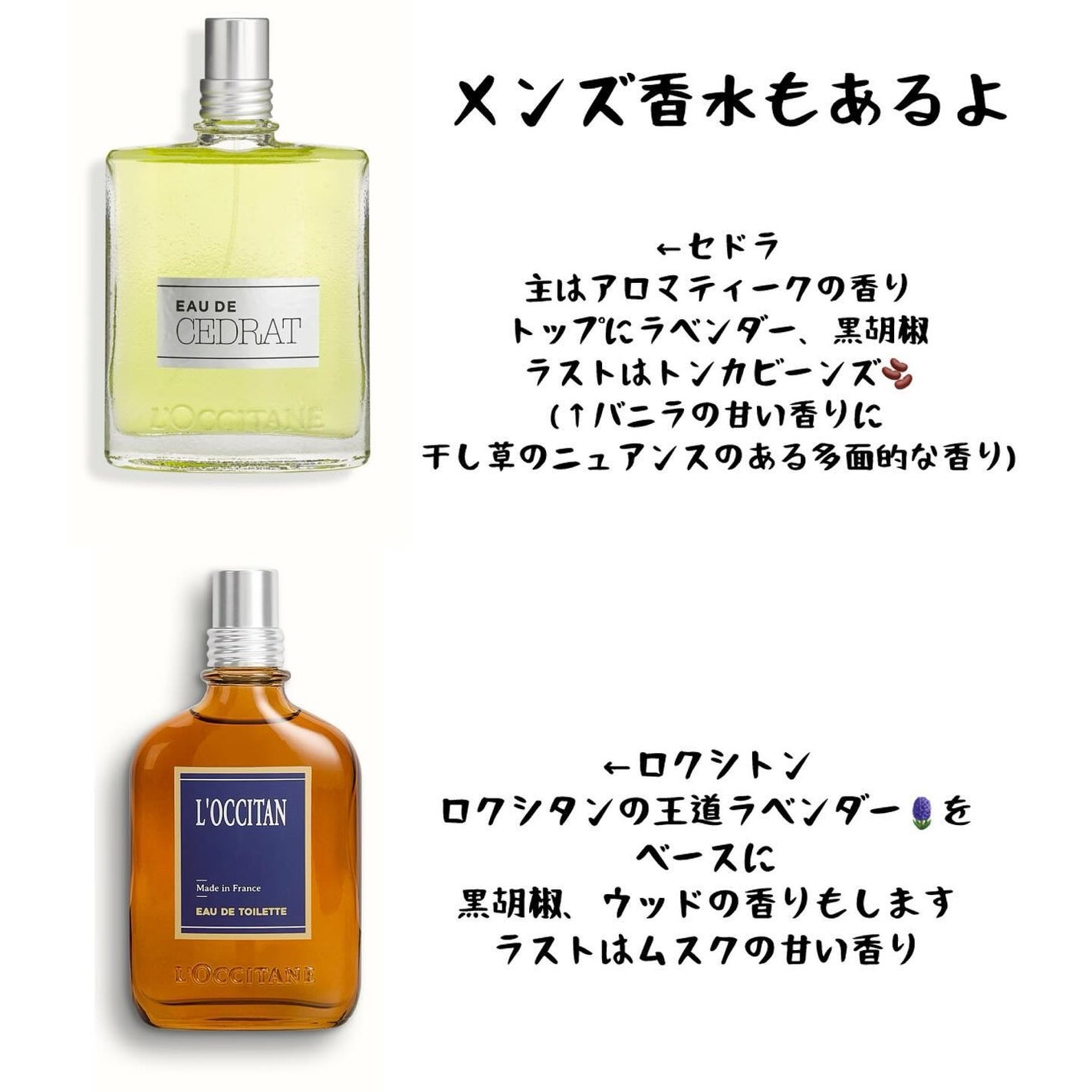 ゆみこ先生🦷 on LIPS 「香りに癒されてもいいんじゃない?〜〜〜〜〜〜〜〜〜〜⭐︎この内..」(8枚目)