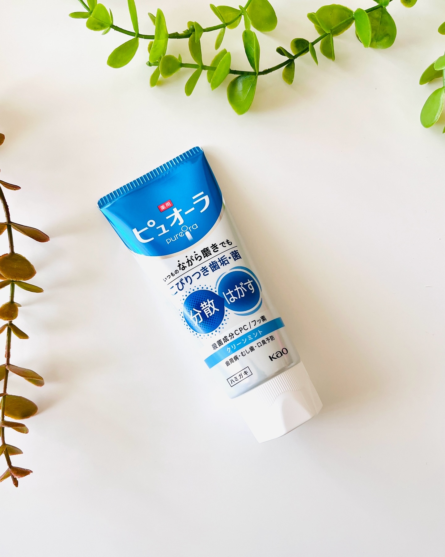 薬用ピュオーラ ハミガキ/ピュオーラ/歯磨き粉を使ったクチコミ（2枚目）