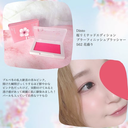 ブラーフィニシュブラッシャー/Dinto/パウダーチークを使ったクチコミ(2枚目)