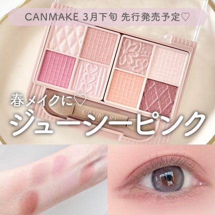 プティパレットアイズ/キャンメイク/パウダーアイシャドウを使ったクチコミ(1枚目)