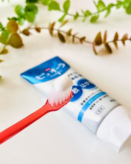 薬用ピュオーラ ハミガキ/ピュオーラ/歯磨き粉を使ったクチコミ(5枚目)