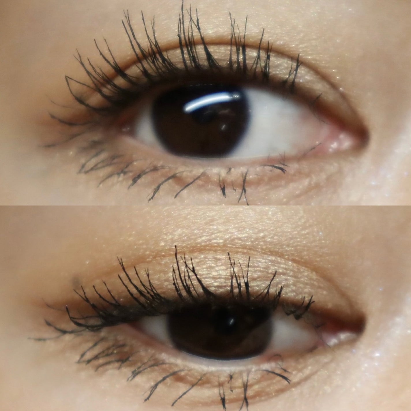 ルナソル アイカラーレーションN/LUNASOL/アイシャドウパレットを使ったクチコミ(6枚目)