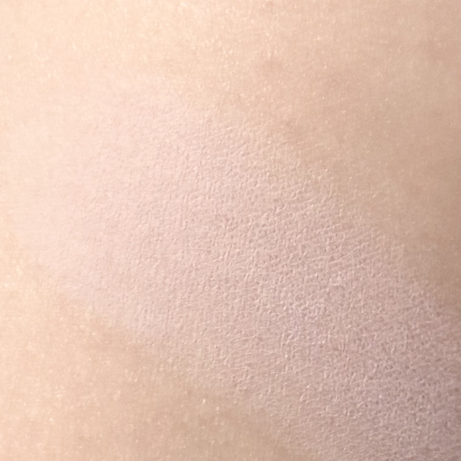 フィッティングブラッシュ 01 ODD/MUZIGAE MANSION/パウダーチークを使ったクチコミ（2枚目）