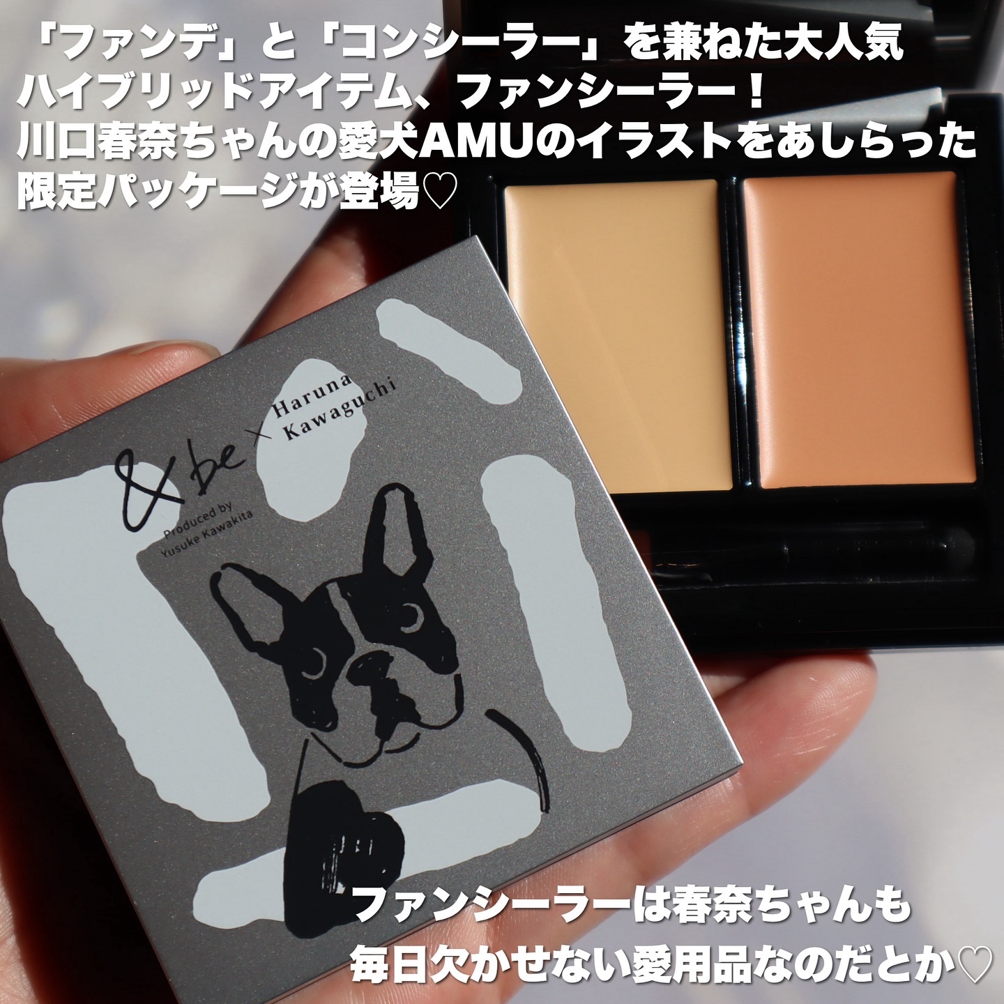 &amp;be ファンシーラー/＆be/パレットコンシーラーを使ったクチコミ（2枚目）