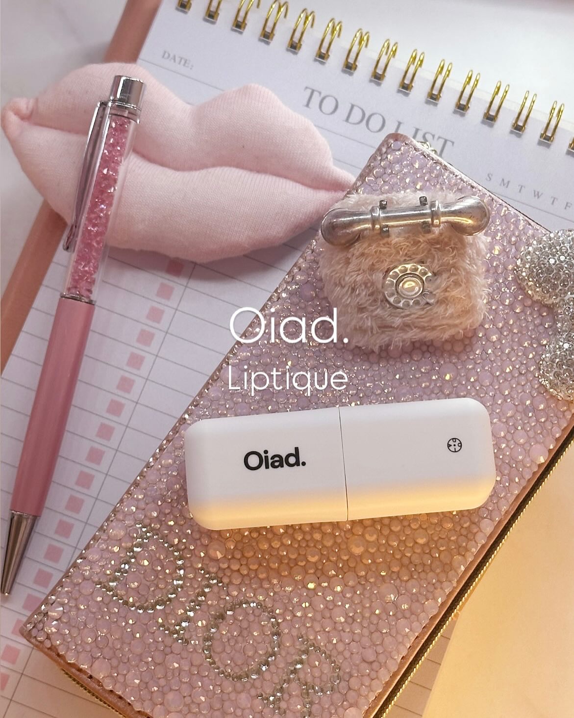 リップティーク/oiad/口紅を使ったクチコミ（1枚目）