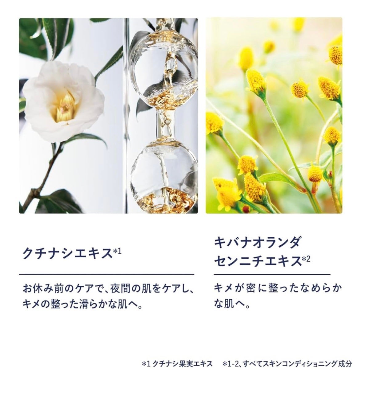 イモーテル オーバーナイトリセットセラム/L'OCCITANE/美容液を使ったクチコミ(5枚目)