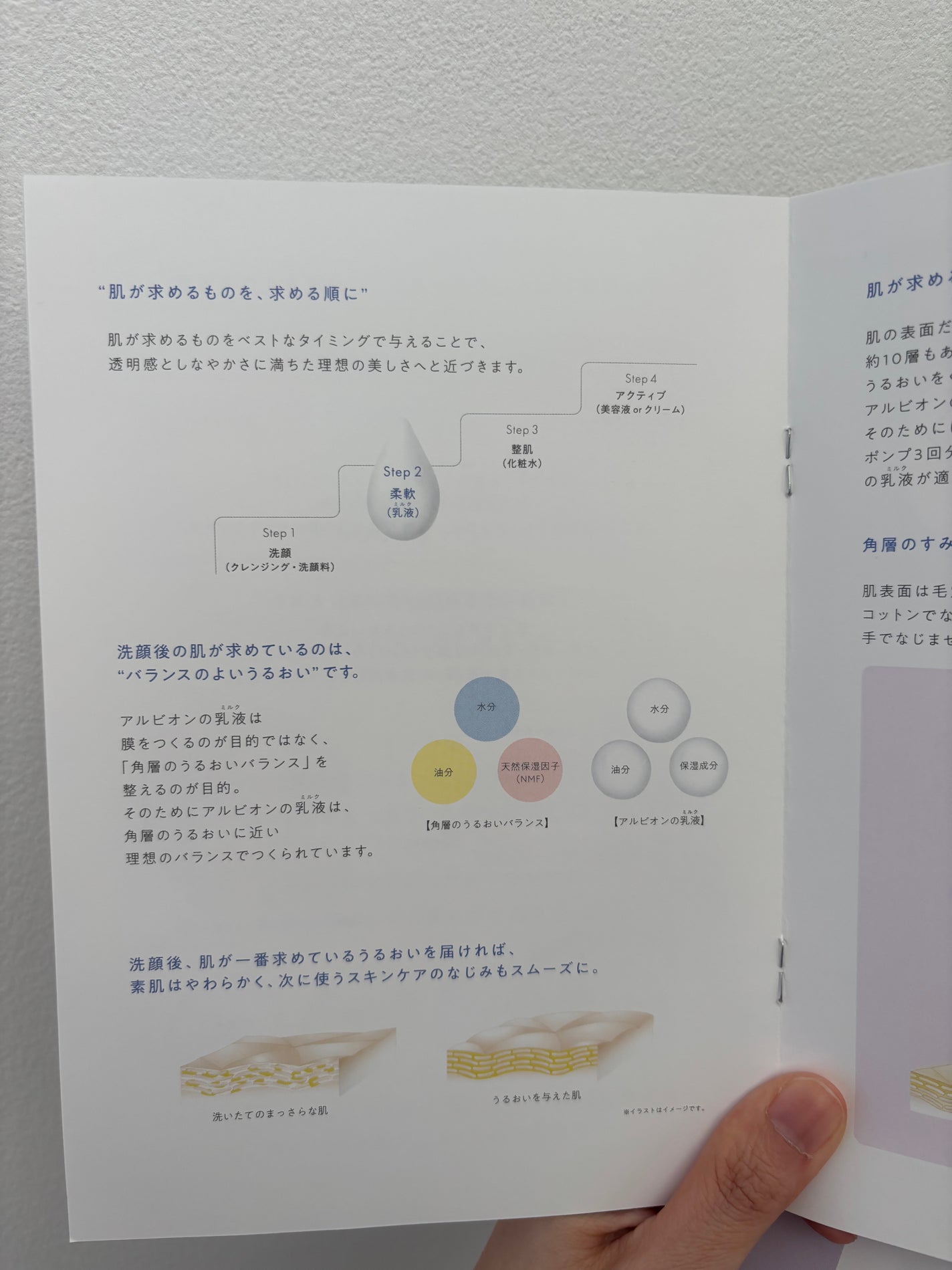 フラルネ ブライトリファイン ミルク EM/ALBION/乳液を使ったクチコミ(9枚目)