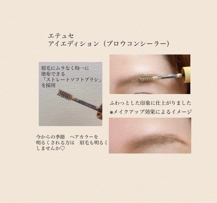 エテュセ アイエディション(ブロウコンシーラー)/ettusais/その他アイブロウを使ったクチコミ(2枚目)