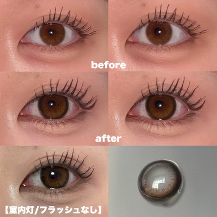 mimuco 1day ココトリュフ/mimuco/ワンデー(1DAY)カラコンの画像