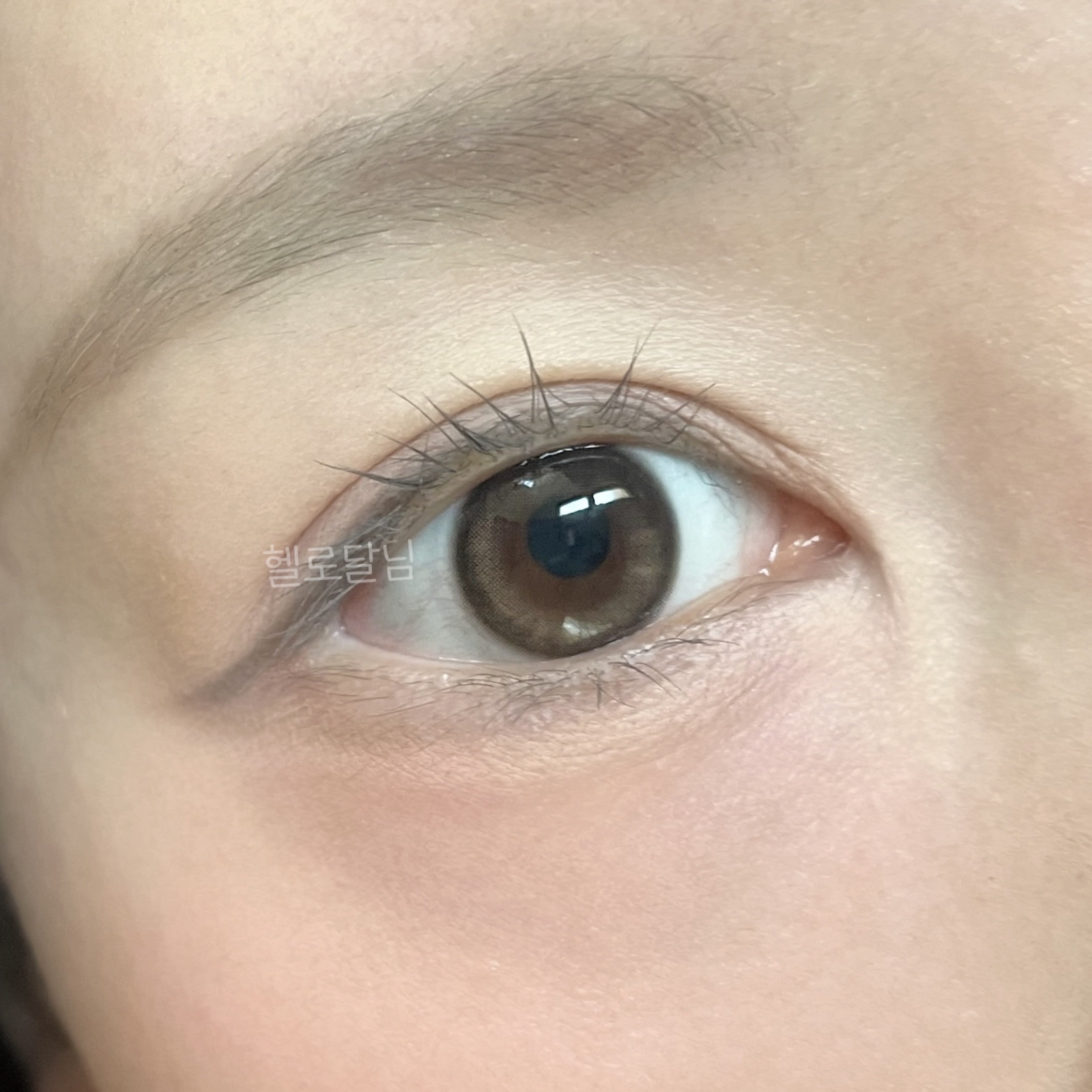 One & Only Kristin/Hapa kristin/カラーコンタクトレンズを使ったクチコミ（3枚目）