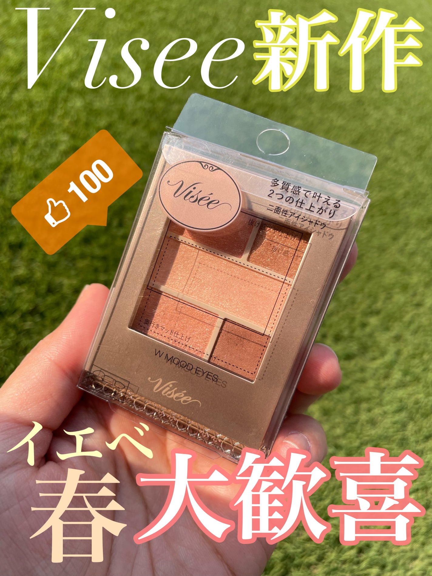 ダブル ムード アイズ/Visée/アイシャドウパレットを使ったクチコミ(1枚目)