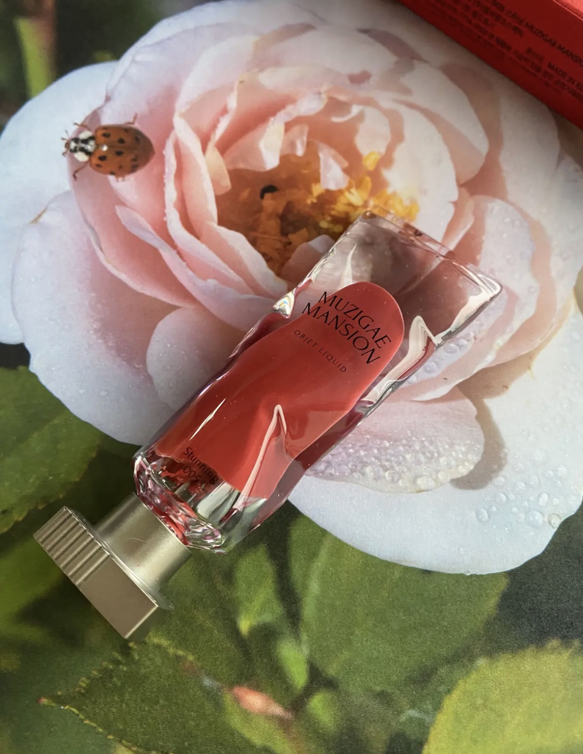 オブジェリキッド/MUZIGAE MANSION/口紅を使ったクチコミ（1枚目）