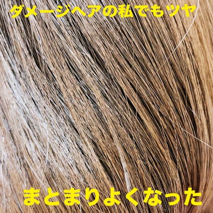 カームナイトリペアシャンプー/トリートメント/YOLU/シャンプー・コンディショナーを使ったクチコミ(4枚目)