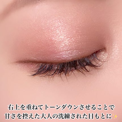 エクシア アイカラー ヴォロンテ/ALBION/アイシャドウパレットを使ったクチコミ(9枚目)