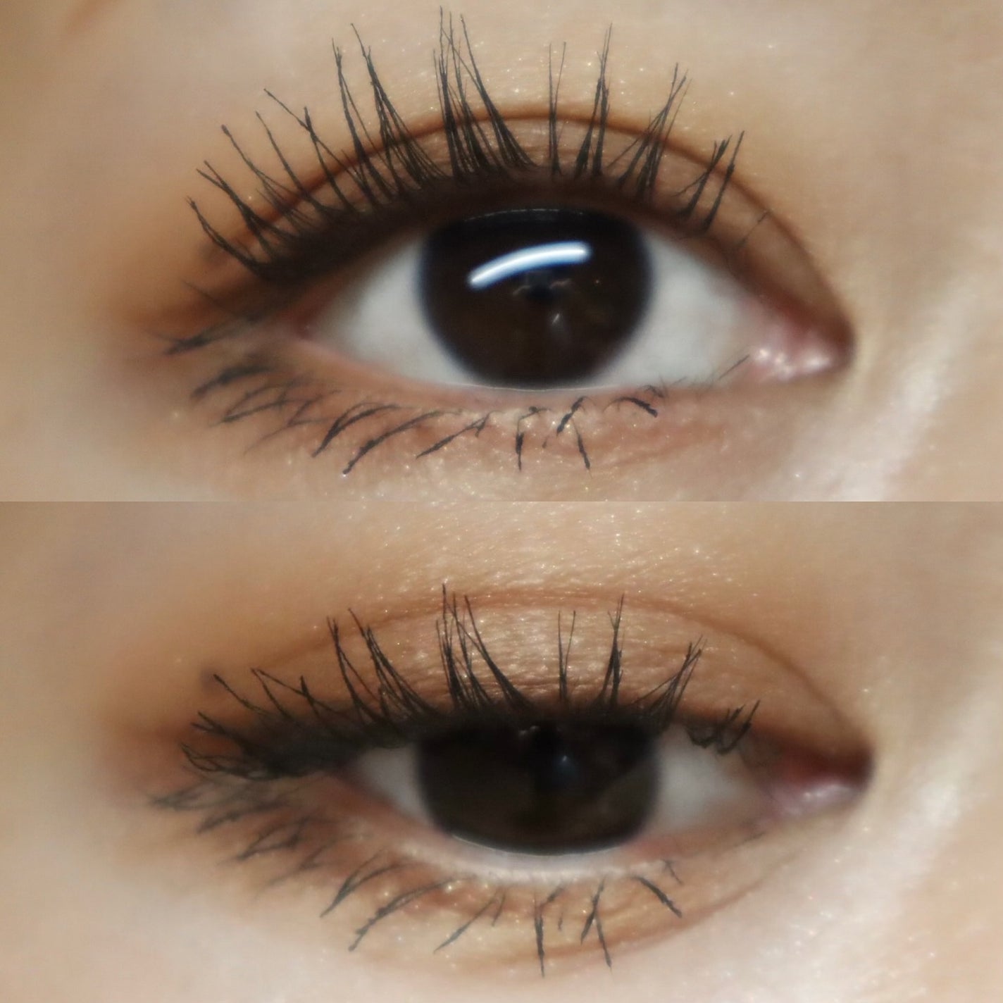 ルナソル アイカラーレーションN/LUNASOL/アイシャドウパレットを使ったクチコミ(6枚目)