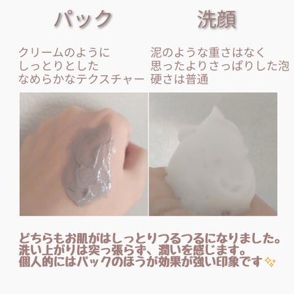 リカバリーマッドバックツーフォームクレンザー/BRMUD/洗顔フォームを使ったクチコミ(2枚目)