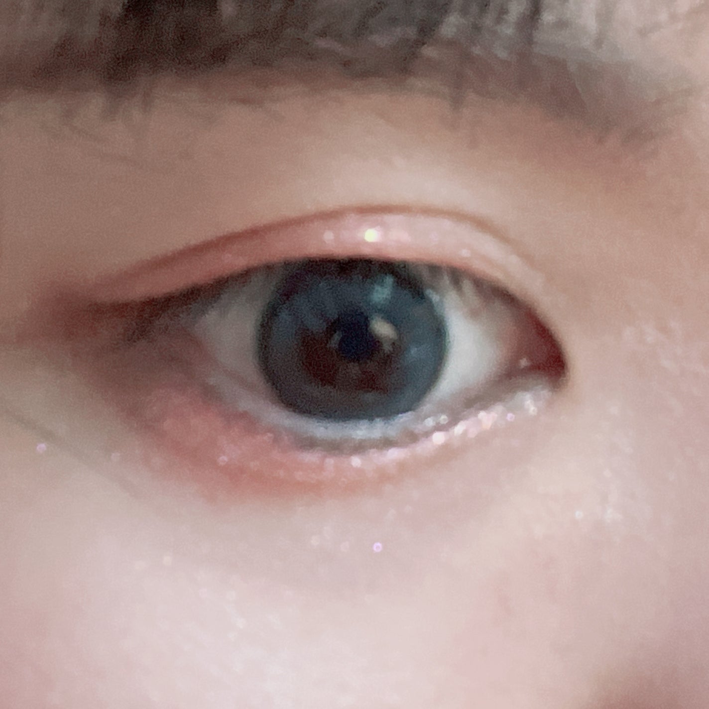 a-eye 1day/Refrear/ワンデー(1DAY)カラコンを使ったクチコミ(1枚目)