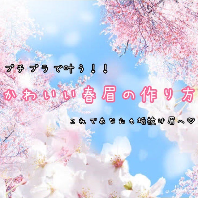 ノーズ&アイブロウパウダー/CEZANNE/パウダーアイブロウを使ったクチコミ(1枚目)