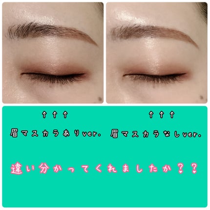 ノーズ&アイブロウパウダー/CEZANNE/パウダーアイブロウを使ったクチコミ(10枚目)