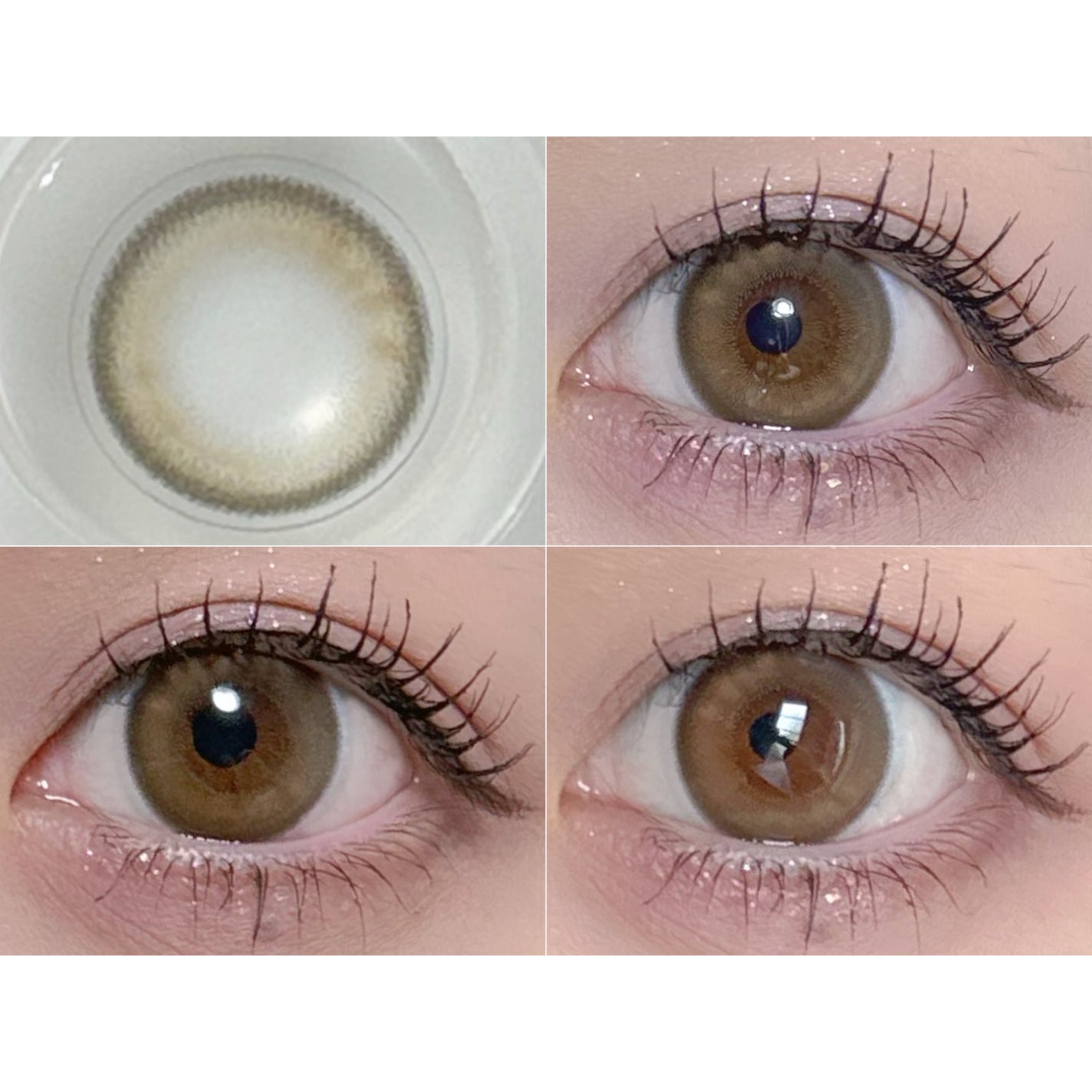 SIE. 1day/SIE./ワンデー(1DAY)カラコンを使ったクチコミ(6枚目)