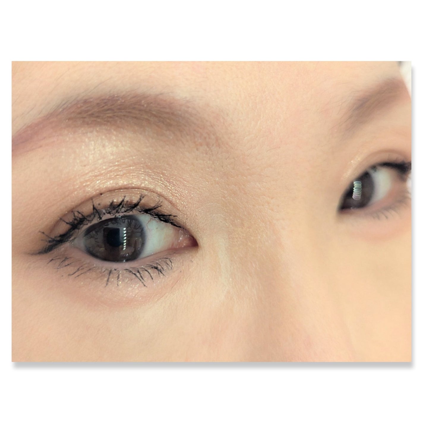 ライティングアップアイシャドウ/CEZANNE/アイシャドウを使ったクチコミ(2枚目)