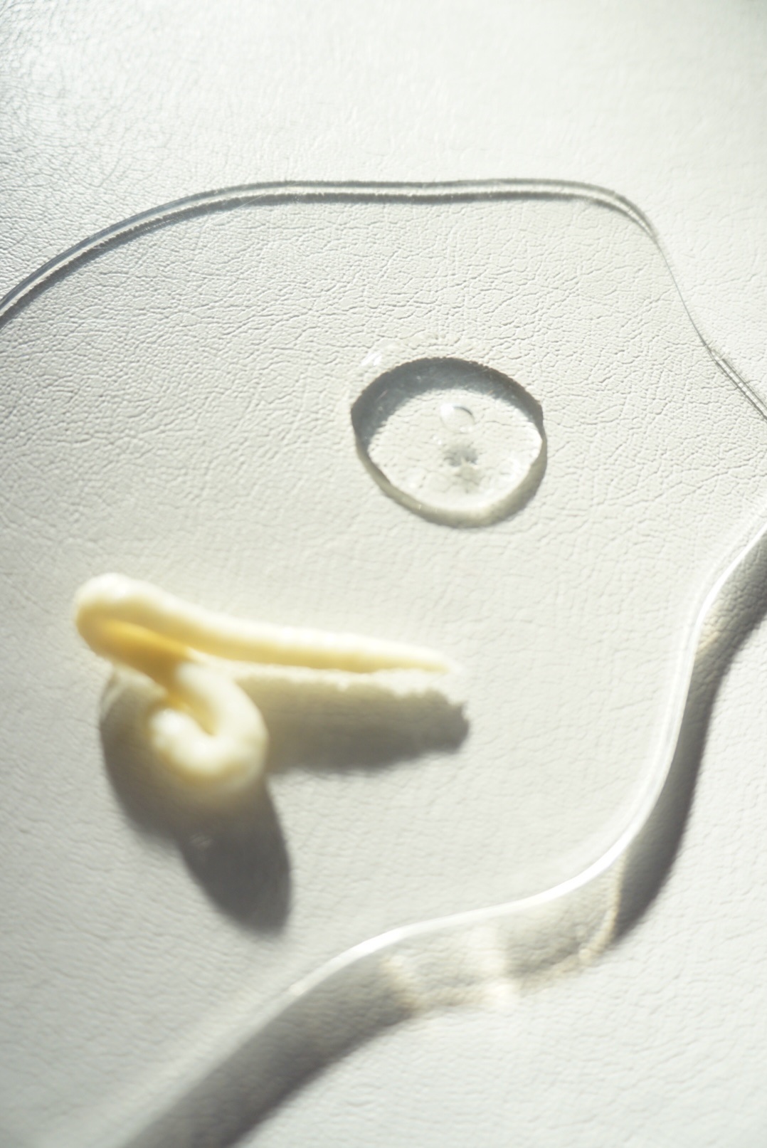 JOUZENシステムシャンプー&トリートメント/JOUZEN/サロンシャンプーを使ったクチコミ（2枚目）