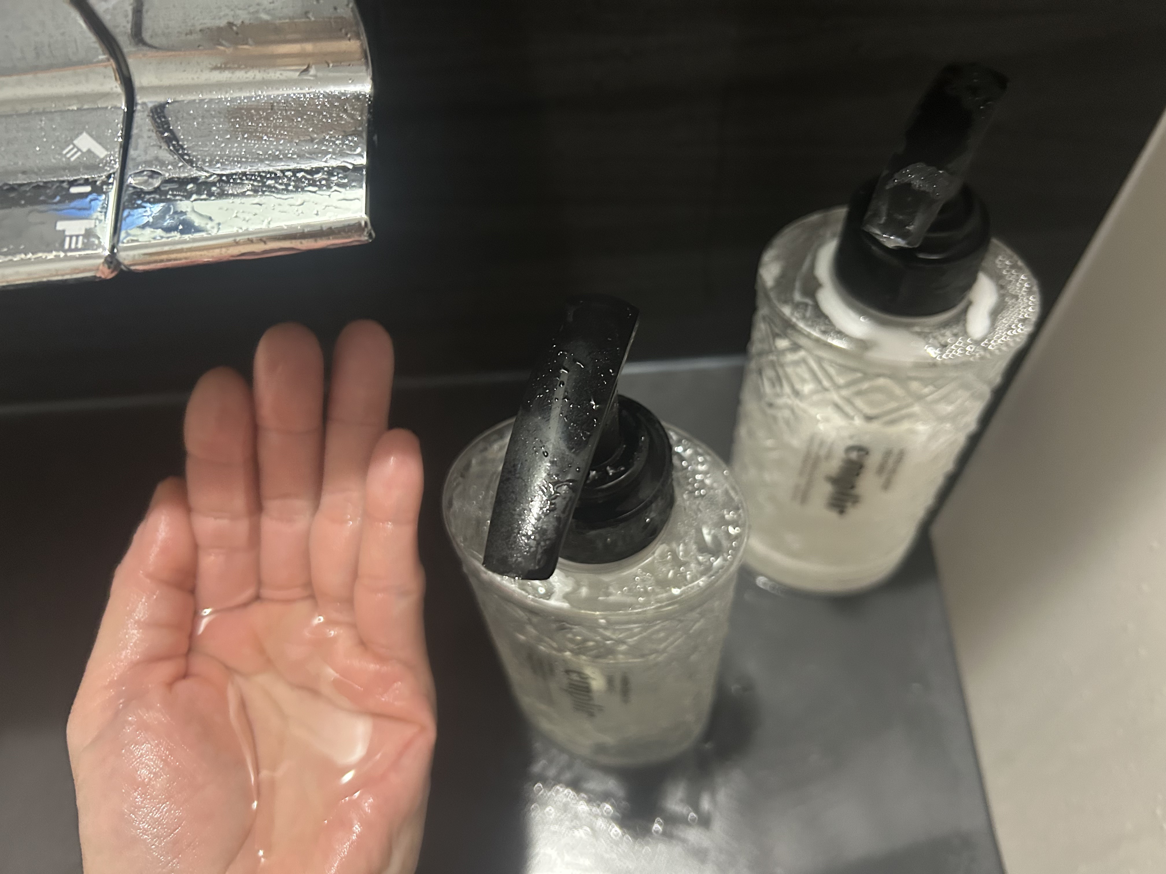 ウォーターベール　モイストヘアオイル/emplir/ヘアオイルを使ったクチコミ（2枚目）