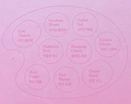 シャドウパレット/dasique/アイシャドウパレットを使ったクチコミ(6枚目)