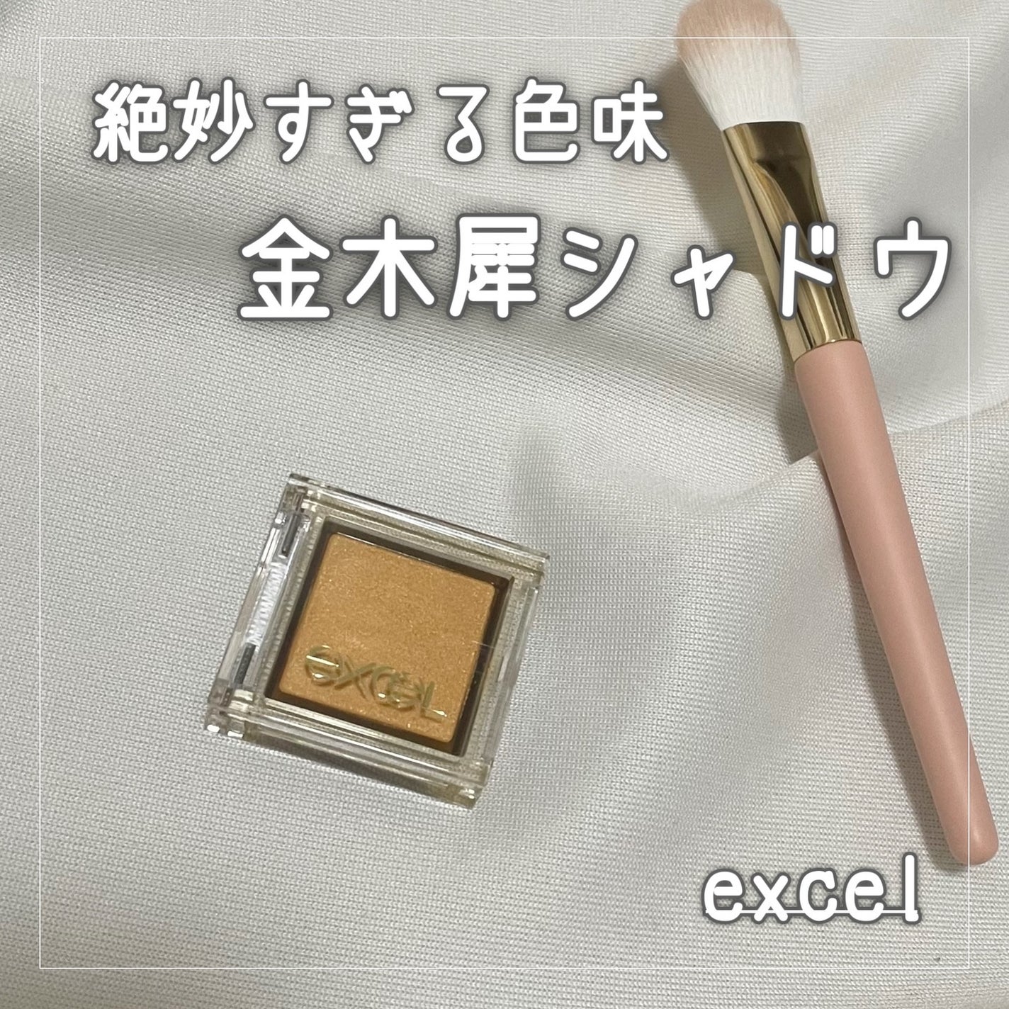 アイプランナー/excel/単色アイシャドウを使ったクチコミ(1枚目)