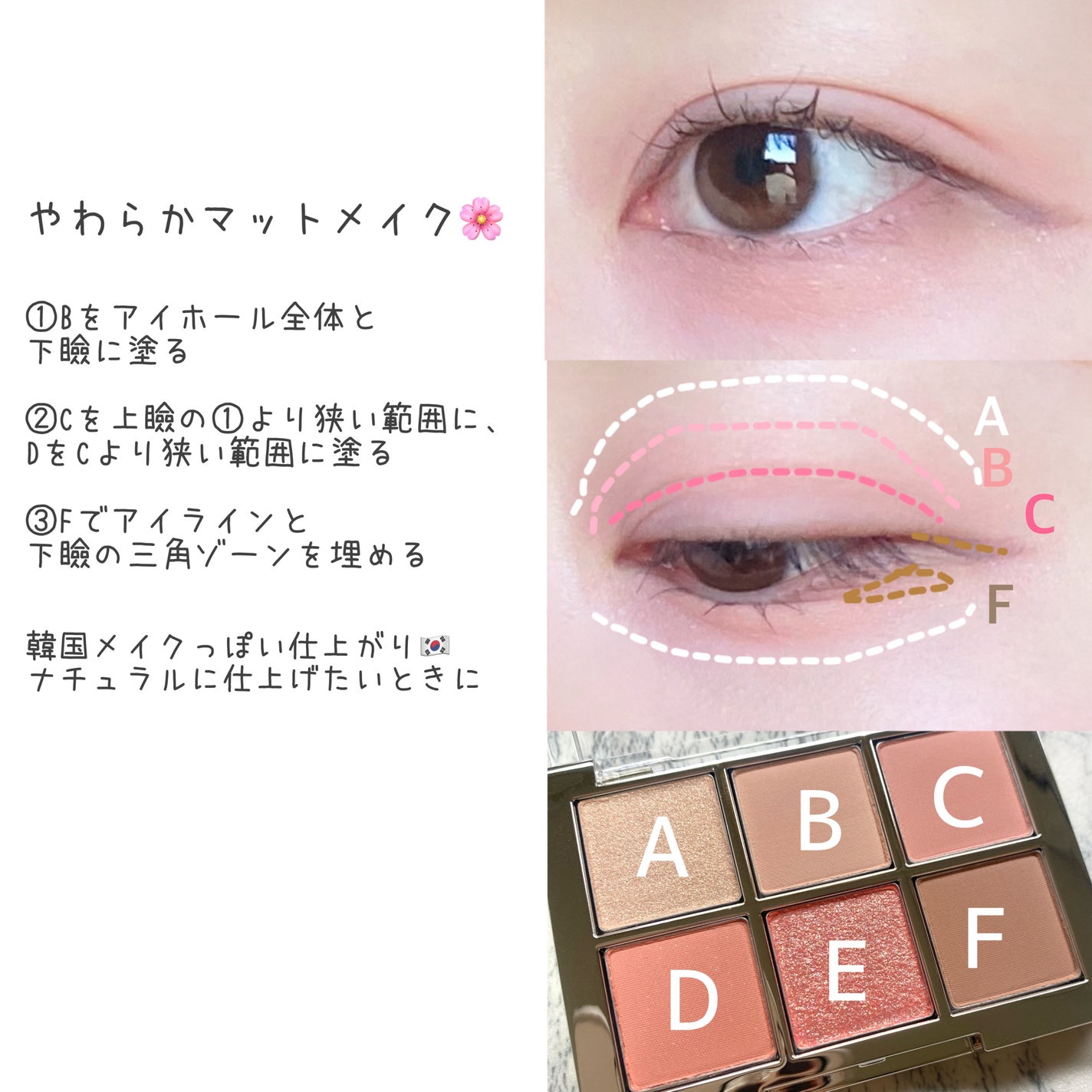 ベターミーアイパレット/2aN/マルチパレットを使ったクチコミ(4枚目)