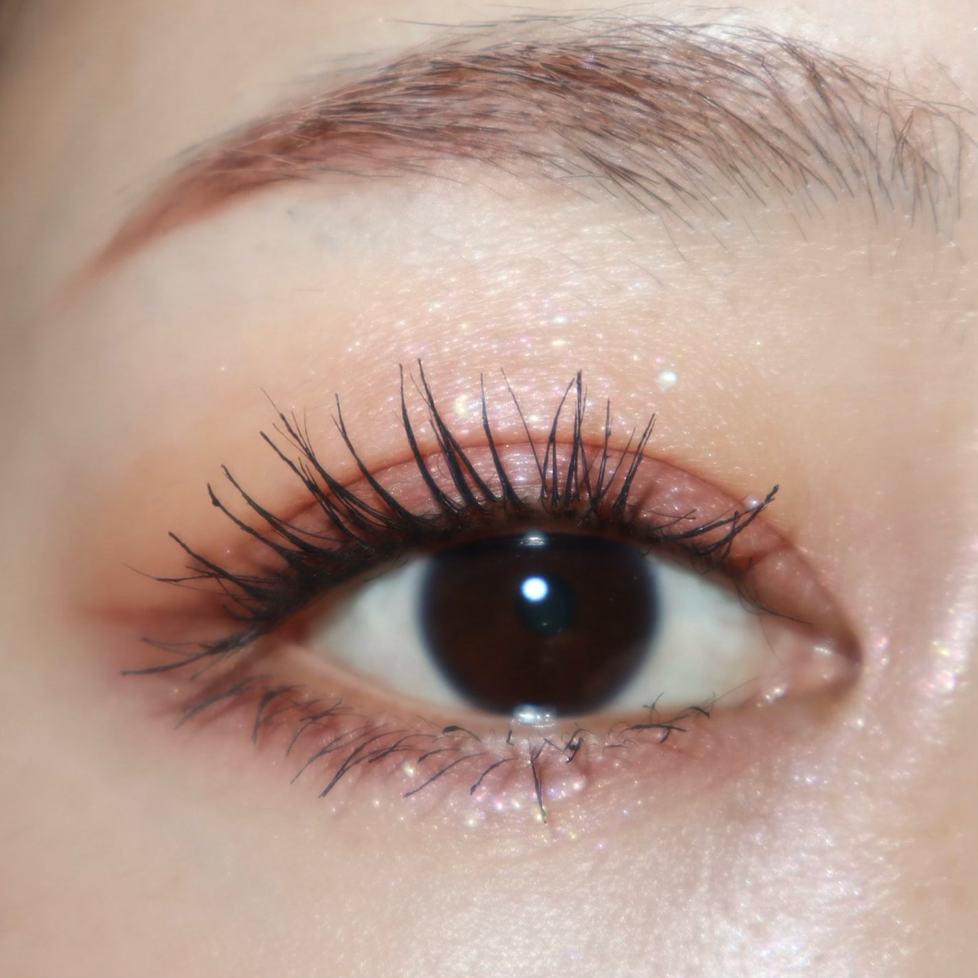 ミネラルクラッシィシャドー/エトヴォス/アイシャドウパレットを使ったクチコミ(5枚目)