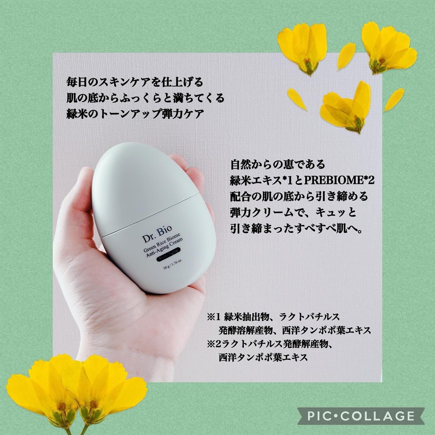 緑米ライスバイオーム™トーンアップ弾力クリーム/Dr.Bio/フェイスクリームを使ったクチコミ(2枚目)