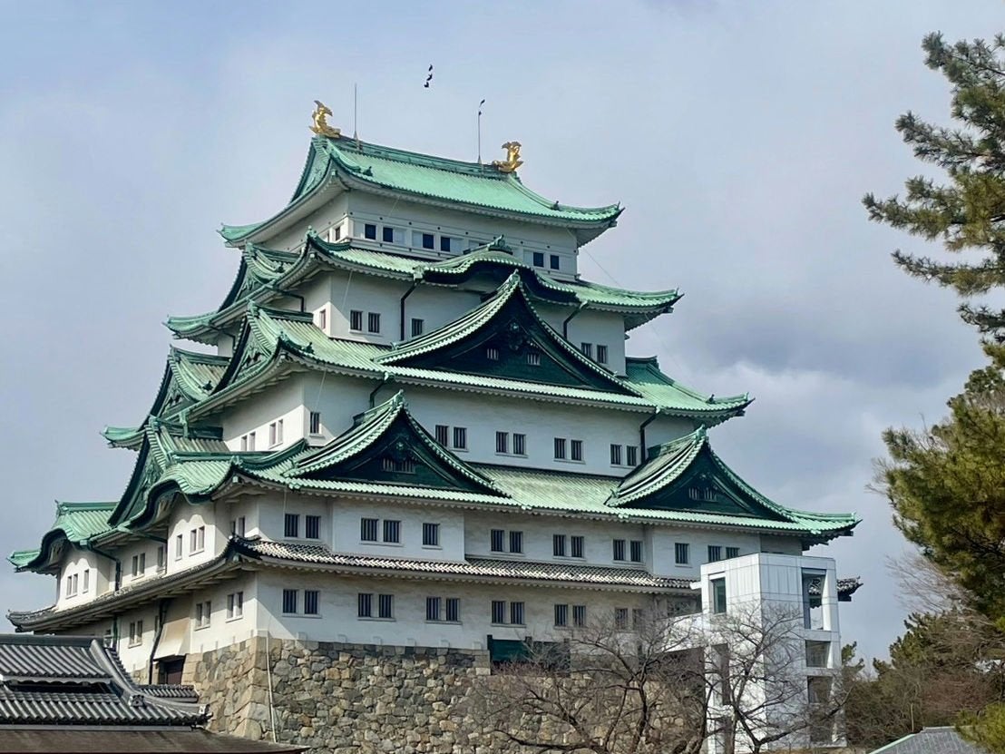 ディオールスキン ルージュ ブラッシュ/Dior/パウダーチークを使ったクチコミ(1枚目)