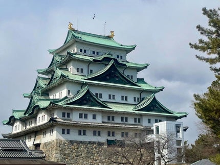 ディオールスキン ルージュ ブラッシュ/Dior/パウダーチークを使ったクチコミ(1枚目)