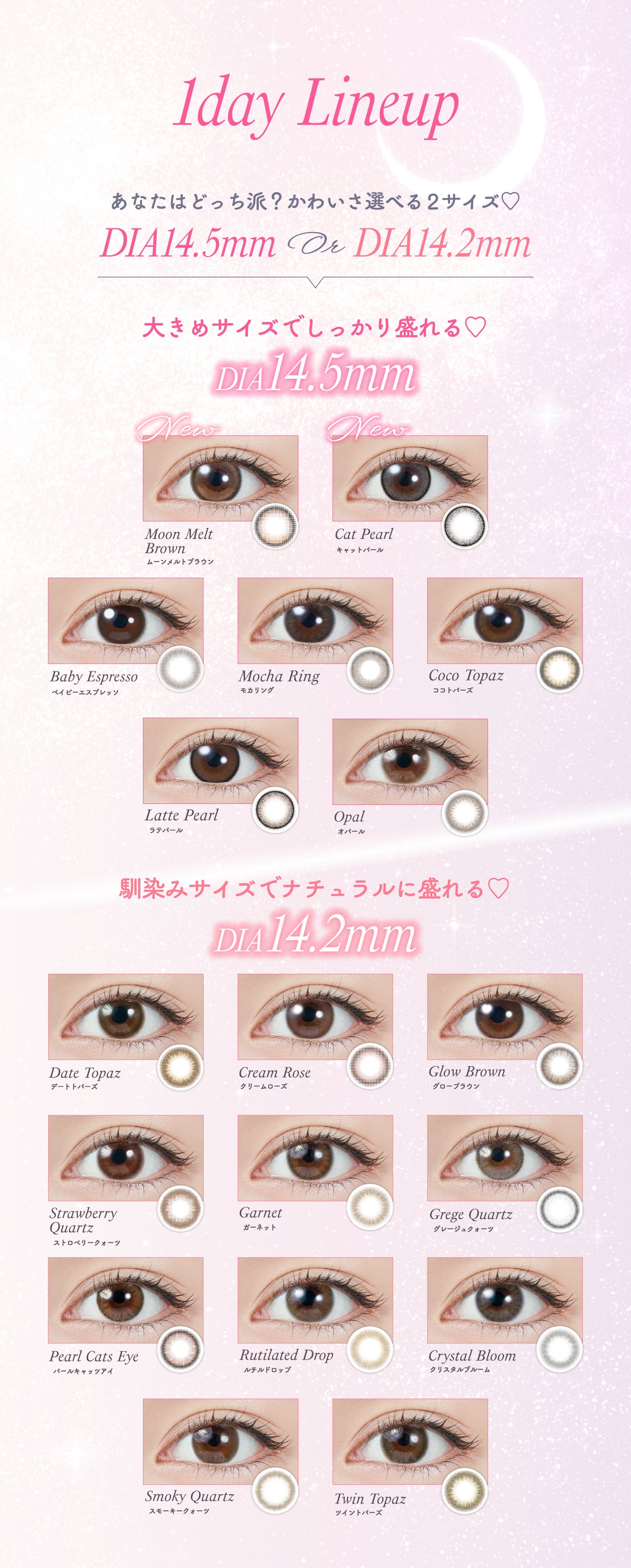 TOPARDS 1day TOPARDS