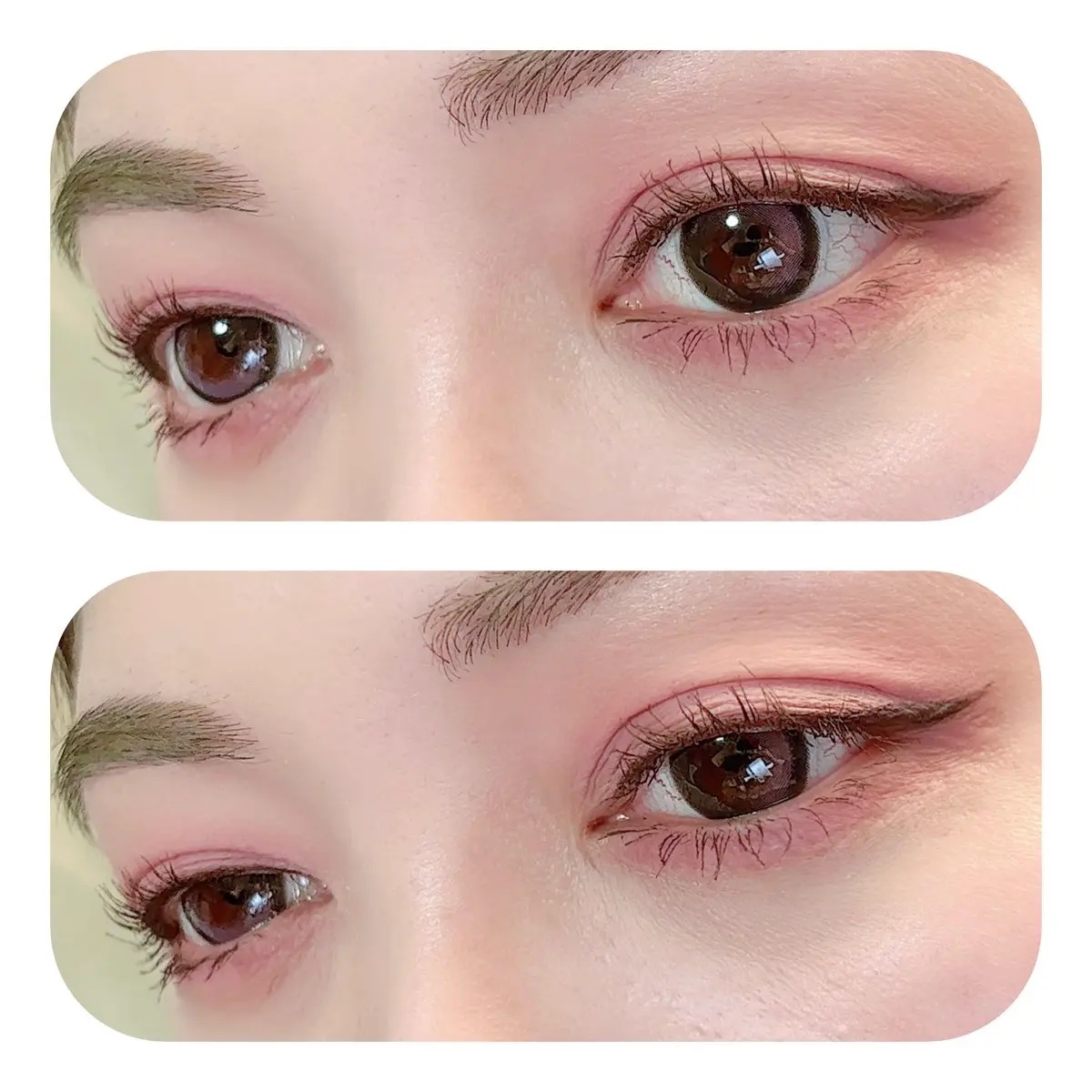 シャドウパレット/dasique/アイシャドウパレットを使ったクチコミ（1枚目）