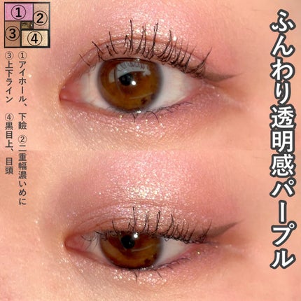 エクシア アイカラー ヴォロンテ/ALBION/アイシャドウパレットを使ったクチコミ(9枚目)