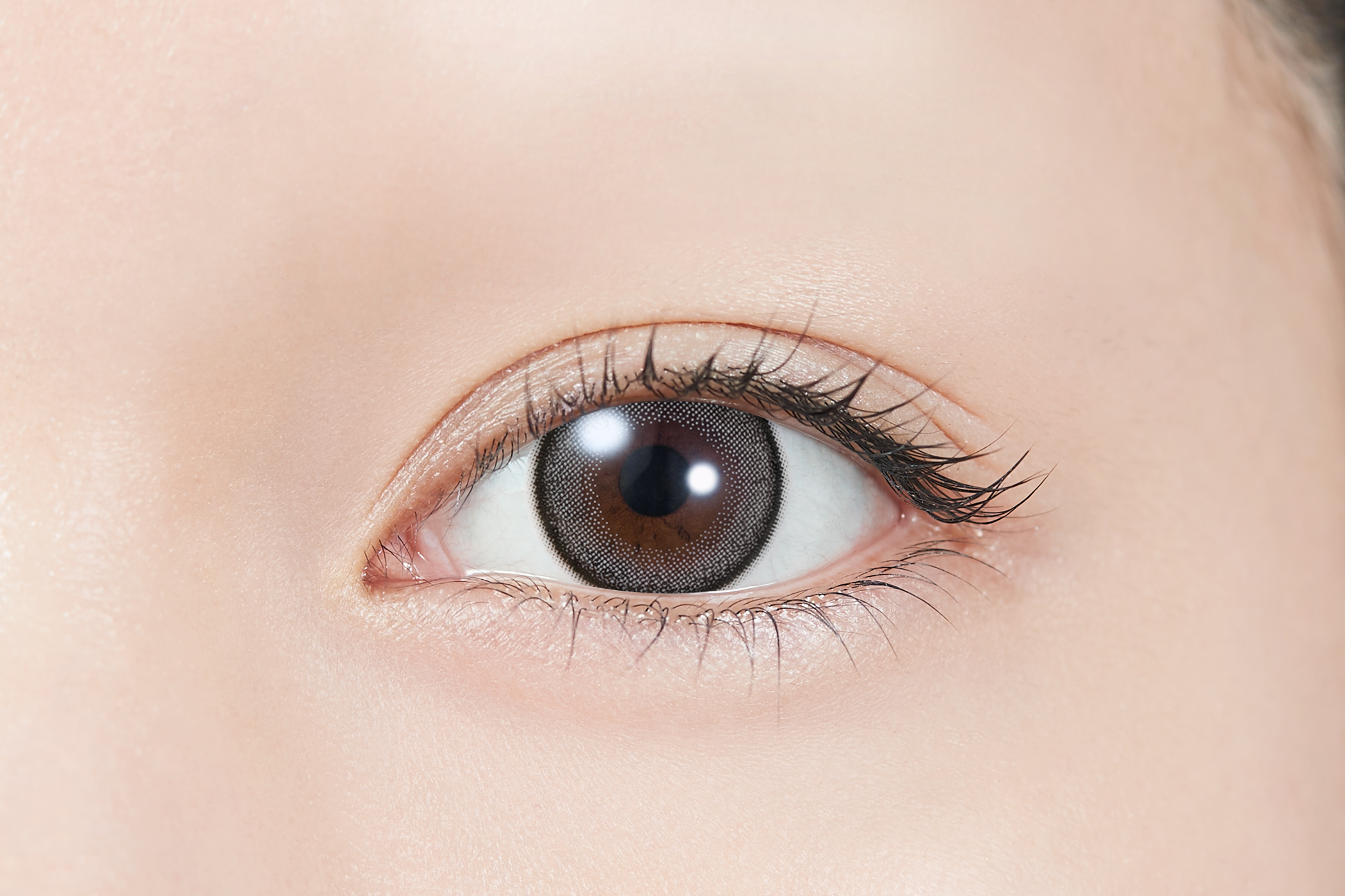 TOPARDS 1day キャットパール