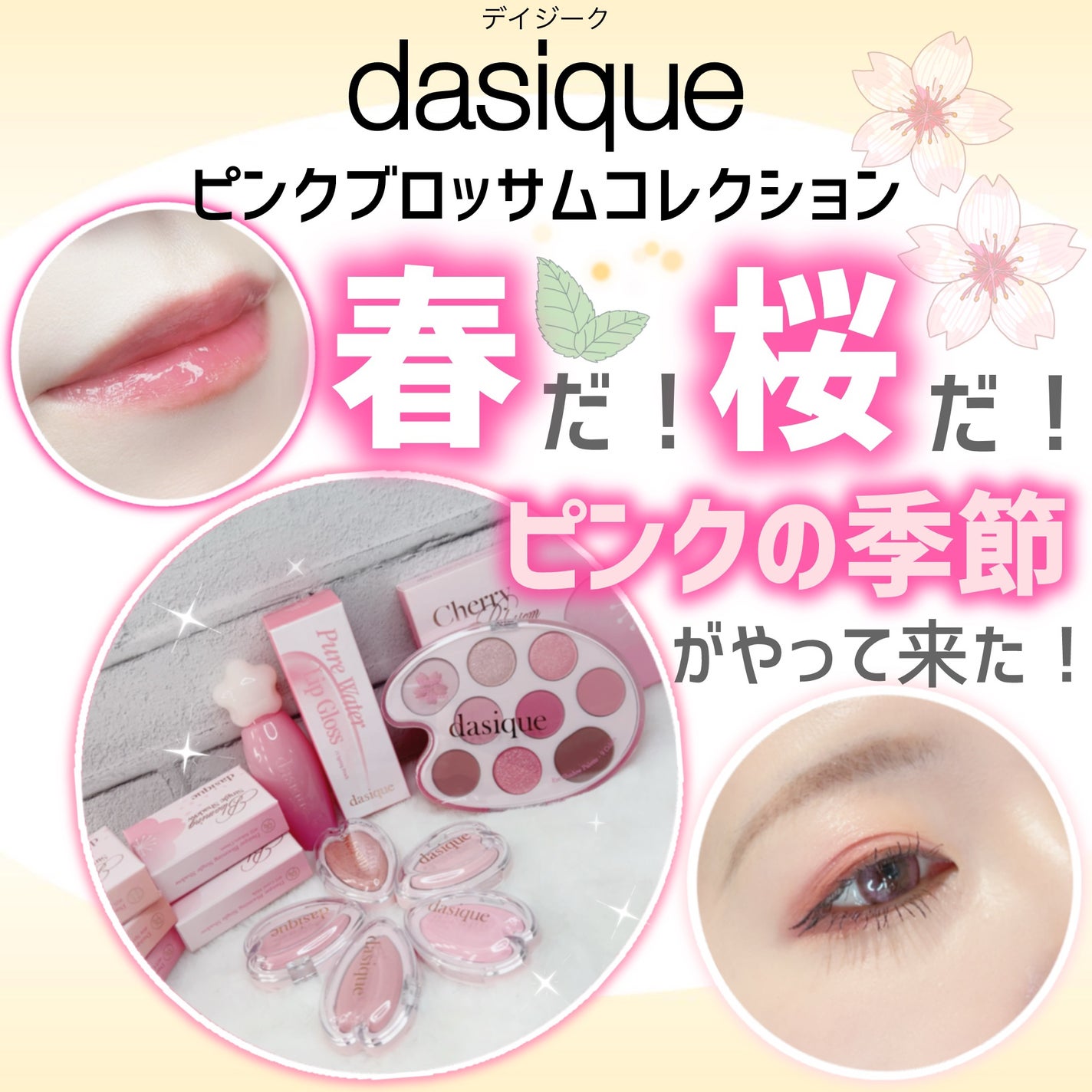シャドウパレット/dasique/アイシャドウパレットを使ったクチコミ(1枚目)